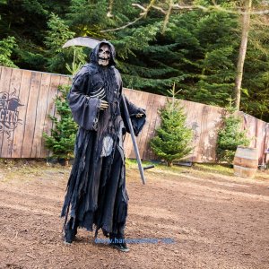 Wacken_Winter_Nights_Samstag_2019_Band_Trollfaust-1