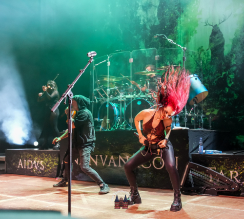 Band-Eluveitie-beim-Walhalla-Festival-der-Helden-hansemeister.com-2025-2566