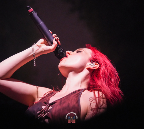 Band-Eluveitie-beim-Walhalla-Festival-der-Helden-hansemeister.com-2025-2795