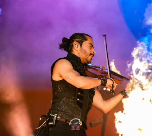 Band-dArtagnan-beim-Walhalla-Festival-der-Helden-hansemeister.com-2025-1390