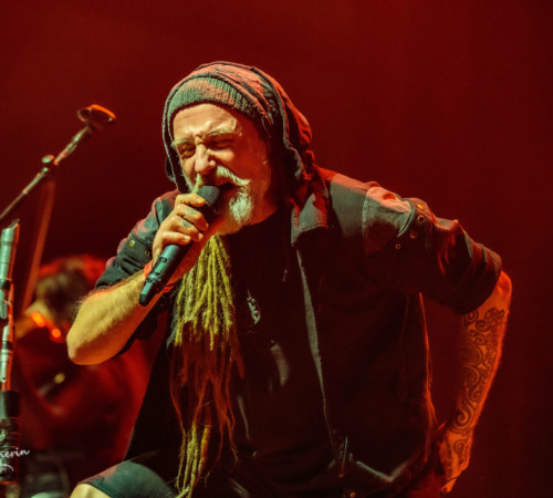 Eluvitie-66