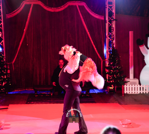 Gnarrenburger-Classic-Weihnachts-Circus-552