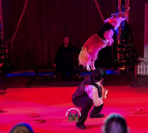 Gnarrenburger-Classic-Weihnachts-Circus-584