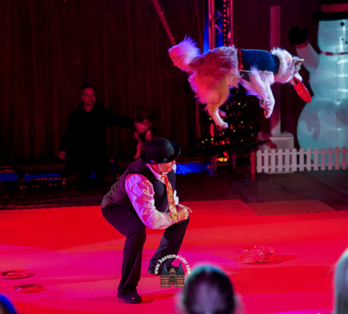Gnarrenburger-Classic-Weihnachts-Circus-586