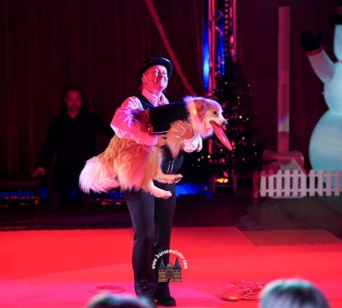 Gnarrenburger-Classic-Weihnachts-Circus-592