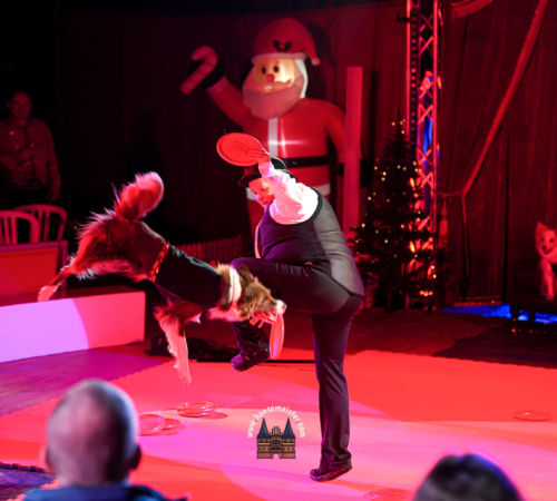 Gnarrenburger-Classic-Weihnachts-Circus-630
