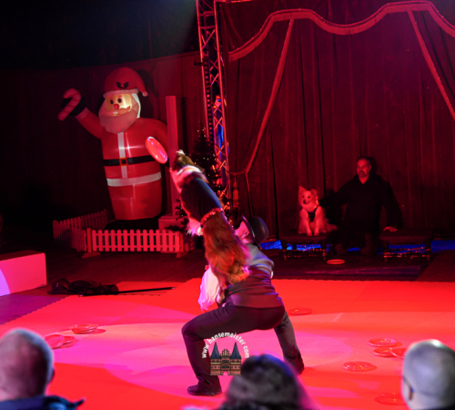 Gnarrenburger-Classic-Weihnachts-Circus-652