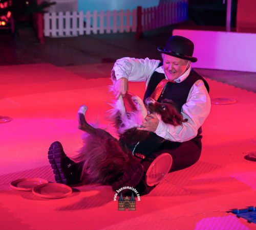 Gnarrenburger-Classic-Weihnachts-Circus-748