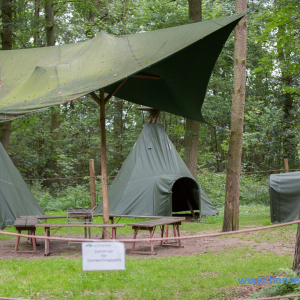 Wolfcenter_D_rverden_2017_433_