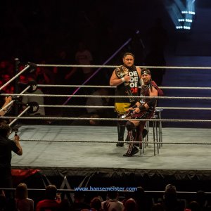 WWE_Live_Barclaycard_Arena_Hamburg_2019-1045
