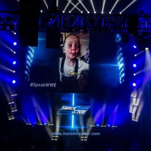 WWE_Live_Barclaycard_Arena_Hamburg_2019-1203