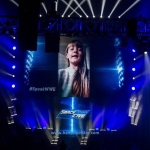 WWE_Live_Barclaycard_Arena_Hamburg_2019-1204