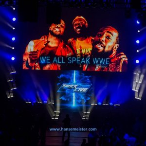 WWE_Live_Barclaycard_Arena_Hamburg_2019-1205