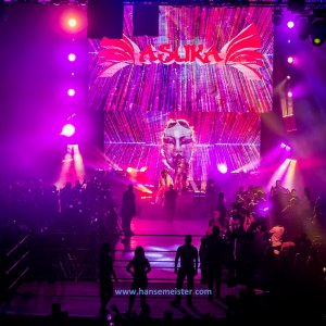 WWE_Live_Barclaycard_Arena_Hamburg_2019-279