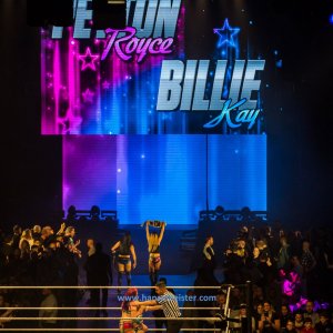 WWE_Live_Barclaycard_Arena_Hamburg_2019-455
