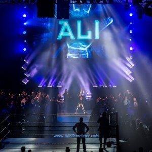 WWE_Live_Barclaycard_Arena_Hamburg_2019-810