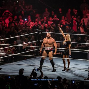 WWE_Live_Barclaycard_Arena_Hamburg_2019-92