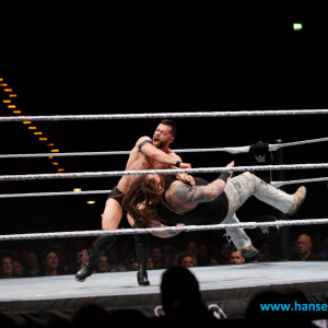 WWE_Live_Hamburg_2017-1004