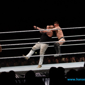 WWE_Live_Hamburg_2017-1085