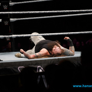 WWE_Live_Hamburg_2017-1114