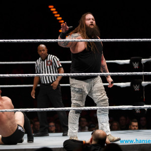 WWE_Live_Hamburg_2017-1120