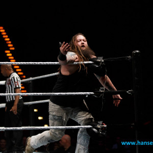 WWE_Live_Hamburg_2017-1134