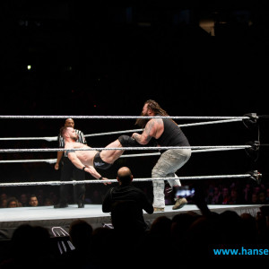 WWE_Live_Hamburg_2017-1158