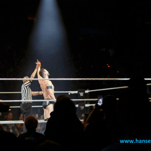 WWE_Live_Hamburg_2017-1192