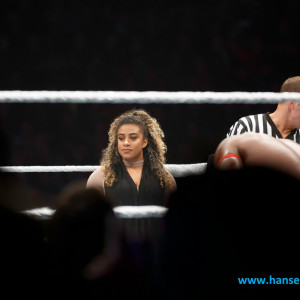 WWE_Live_Hamburg_2017-1285