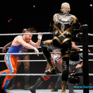 WWE_Live_Hamburg_2017-1463