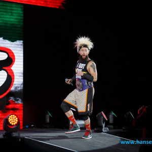 WWE_Live_Hamburg_2017-1834