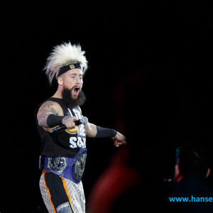 WWE_Live_Hamburg_2017-1838