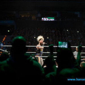 WWE_Live_Hamburg_2017-1839
