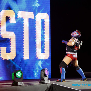 WWE_Live_Hamburg_2017-1857