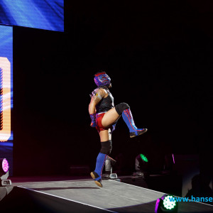 WWE_Live_Hamburg_2017-1863