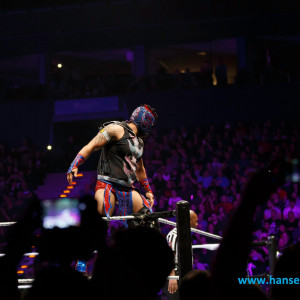 WWE_Live_Hamburg_2017-1882