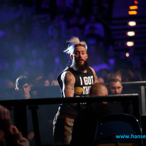 WWE_Live_Hamburg_2017-1905
