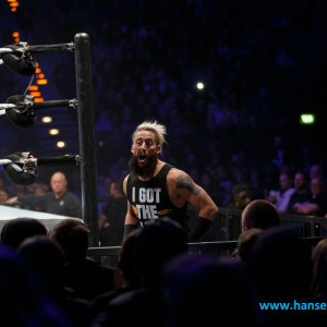 WWE_Live_Hamburg_2017-1917