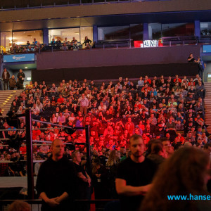 WWE_Live_Hamburg_2017-403