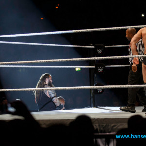 WWE_Live_Hamburg_2017-556