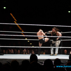 WWE_Live_Hamburg_2017-793