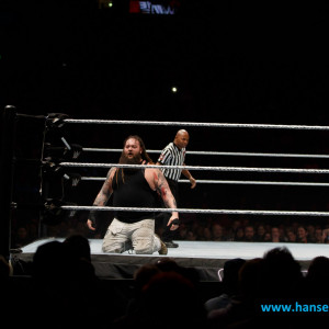 WWE_Live_Hamburg_2017-832